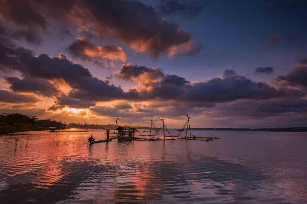 Pemburu Ikan Kecopokan