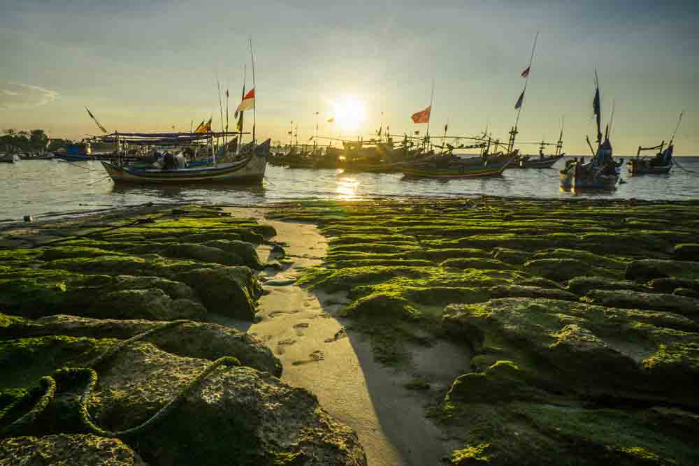 Pantai Sowan, Si Cantik di Tepi Tuban