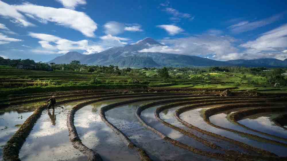 Eksotisme Alam Kedungudi