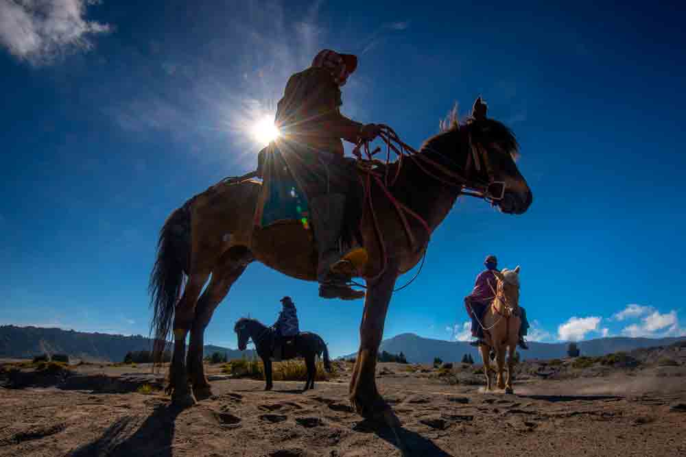 Kuda Bromo