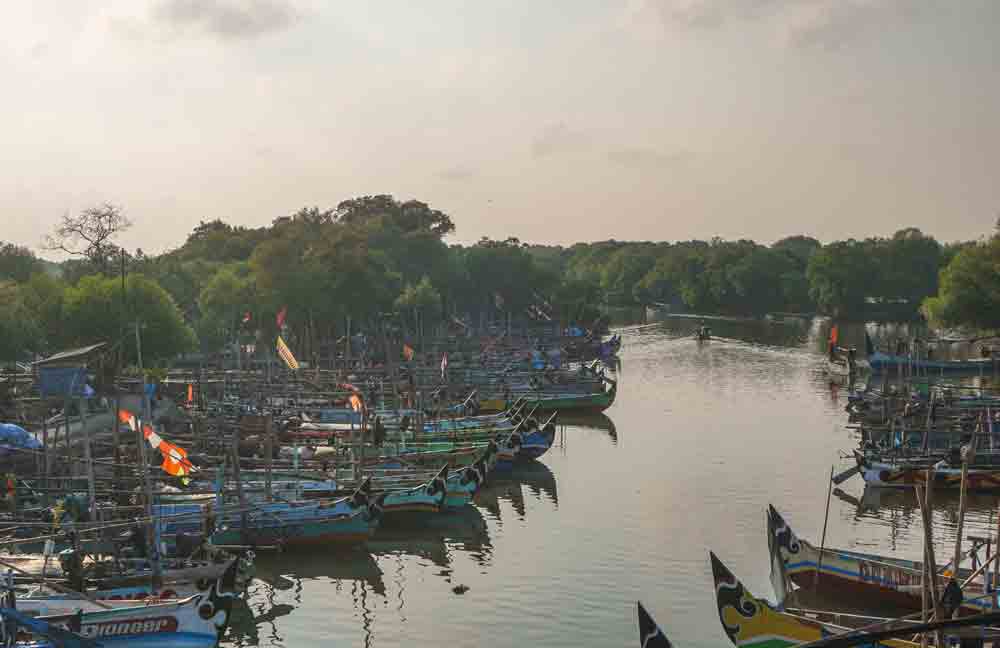 Bersandar di Gisik Cemandi