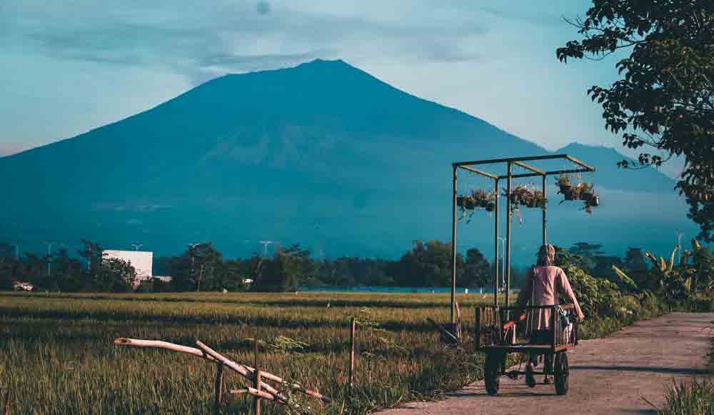 Gerobak Tua dan Gunung Arjuno