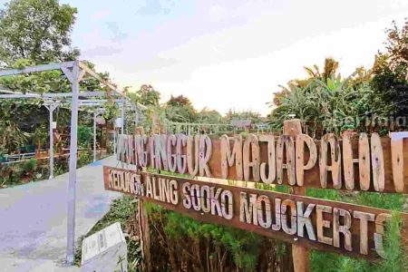 Desa Wisata Kampung Anggur Mojopahit, Transformasi Kampung Kumuh Jadi Destinasi Menarik Desa Wisata Kampung Anggur Mojopahit di Mojokerto (foto: dok beritajatim.com)