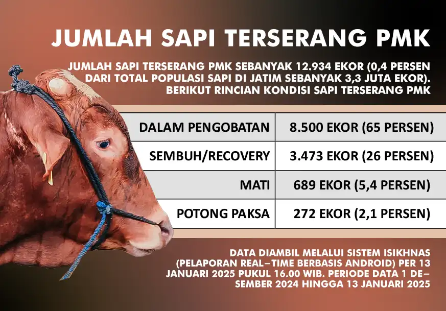 jumlah sapi pmk