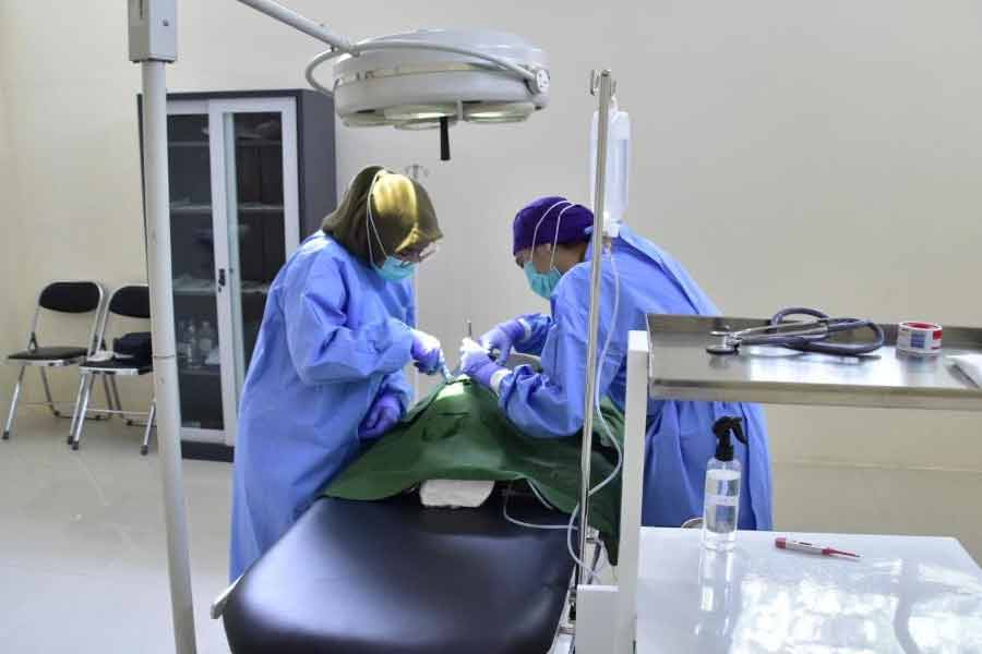 Puskeswan Surabaya Hadir dengan Fasilitas Baru: Rawat Inap dan Ruang Operasi