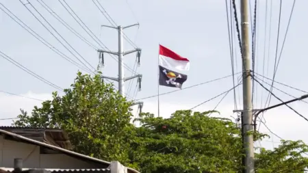 Fenomena Bendera One Piece di Surabaya: Simbol Kekecewaan, Bukan Sebuah Perlawanan Fenomena Bendera One Piece di Surabaya