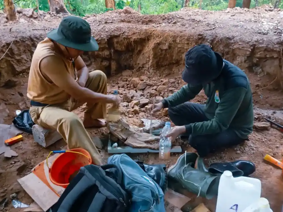 Ekskavasi Penemuan Fosil Gajah Purba Stegodon di Hutan Tritik Nganjuk (foto: Dok KotaSejuk)